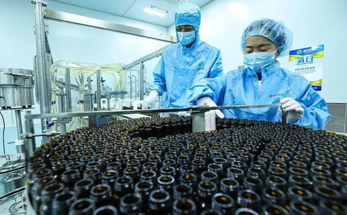 科技賦能 植物工廠 張掖農特產品提質增效鳳凰網甘肅 鳳凰網